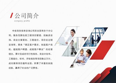 岳陽信息技術(shù)咨詢服務(wù)項目策劃與招商計劃書