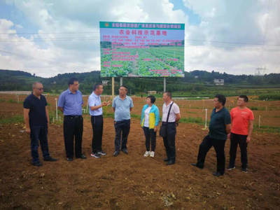 省農業科技發展中心主任潘爾珣深入畢節調研，指導基層農技推廣補助項目建設工作